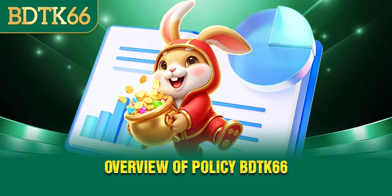overview-of-policy-bdtk66