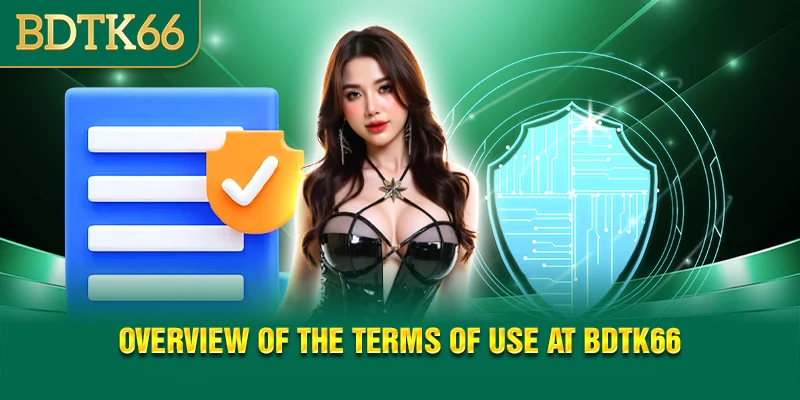 overview-of-the-terms-of-use-at-bdtk66