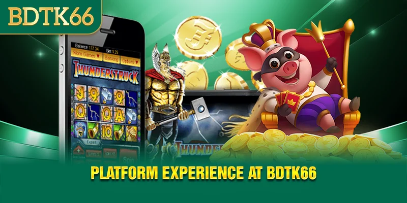 platform-experience-at-bdtk66