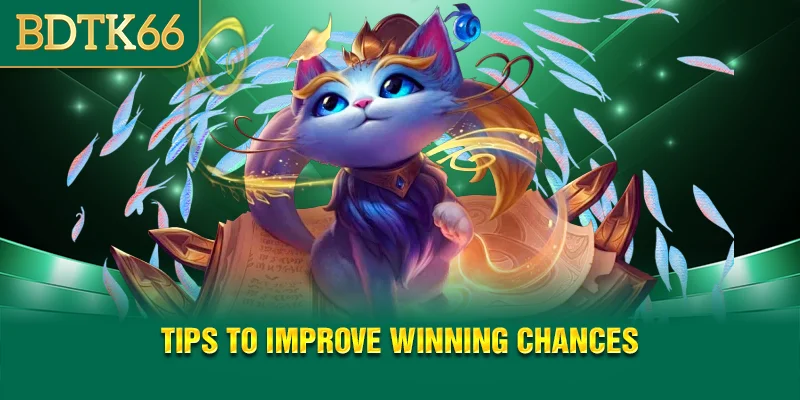 tips-to-improve-winning-chances