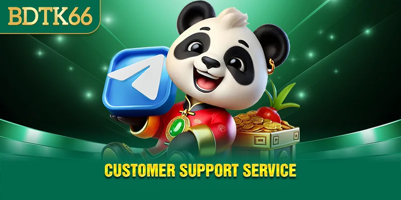 Customer support service